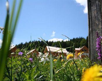 Alpenparks Hagan 3*
